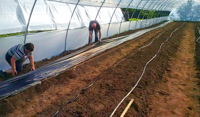 Proiect rural Dumitrita - Constructie si amenajare solarii