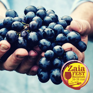 ZAIAFEST: Cramele mici romanesti ies la soare, la aer curat