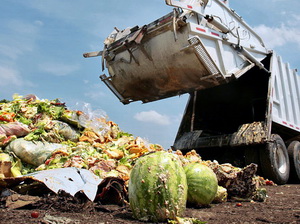 Guvernul suspenda temporar Legea privind diminuarea risipei alimentare