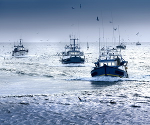 Noi norme UE privind activitatile de pescuit