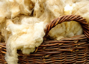 Oportunitati inedite pentru comercializarea lanii de catre crescatorii de ovine