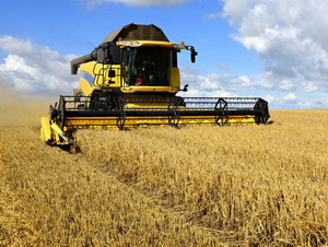 Orzul, in plina campanie de recoltare