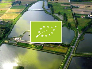 Acvacultura si cresterea ecologica a crapului in UE si in Romania