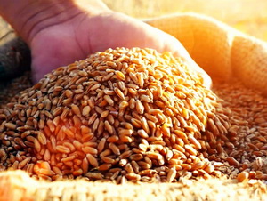 KeysFin: Afacerile din sectorul cerealelor s-au dublat in ultimii 7 ani