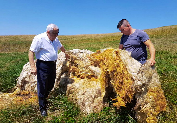 Petre Daea a vizitat comunele din judetul Cluj - 2