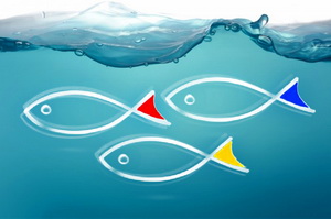 Beneficiarii fondurilor pentru pescuit si acvacultura sunt sprijiniti sa depuna un numar cat mai mare de proiecte