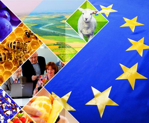 Specialistii sanitar-veterinari din Romania se alatura Grupurilor Consultative Stiintifice ale EFSA