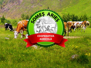 Cooperativa crescatorilor de bovine Somes-Aries - jud Cluj