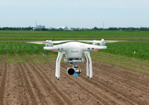 Excesul de ingrasamant cu azot poate fi rezolvat simplu si rapid