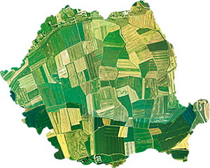 Situatia campaniei de recoltat 2017: Productii record la culturile la care s-a incheiat recoltatul