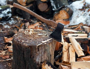 Se simplifica procedura de recoltare a lemnului pentru populatie