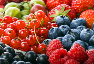 Soiuri de arbusti fructiferi