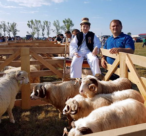 Prima editie a Targului Expozitional de Berbeci de la Baia Mare