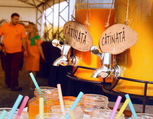 „Noua negociaza mai bine ca unul” este motto-ul care uneste 9 cultivatori de catina in cea mai mare coperativa de profil