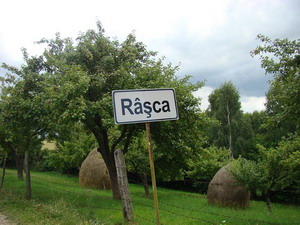 Cultivatorii de cartofi din Rasca