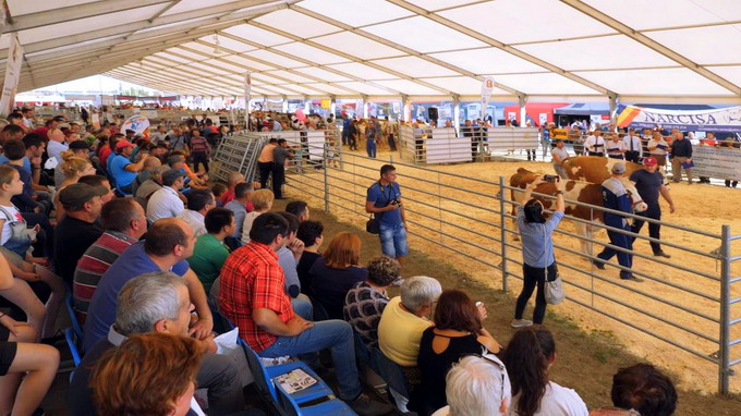 Expozitii si evenimente zootehnice - Agromalim 2017