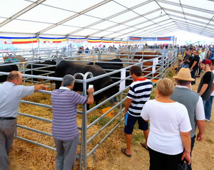 Expozitia de animale a fost la mare cautare in cadrul targului Agromalim 2017