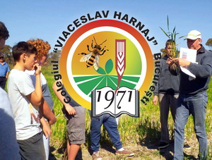 Liceul Viaceslav Harnaj va avea propria ferma