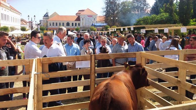 Festivalul Agrofest 2017 Covasna - Agrofeszt