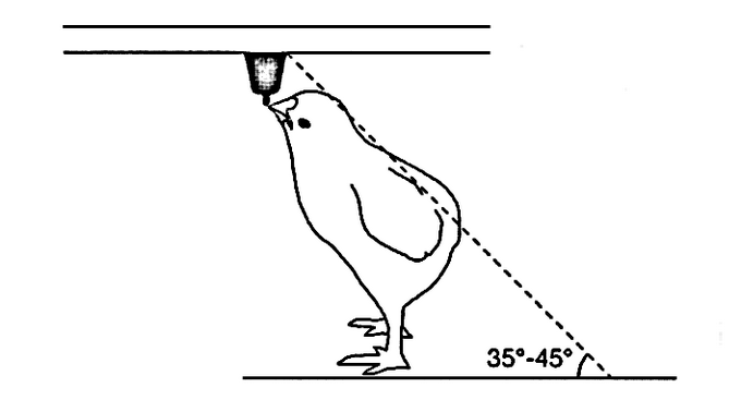 Instalatiile de adapare - inaltimea adapatoarelor
