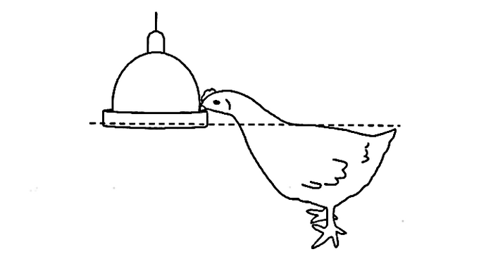 Instalatiile de adapare - inaltimea adapatoarelor circulare