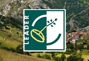 Timp de doua zile, Grupurile de Lucru LEADER vor dezbate aceasta componenta din PNDR 2020