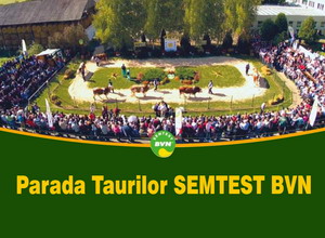 Parada Taurilor - 7 octombrie 2017