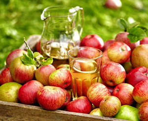 Se prelungesc sesiunile de primire a proiectelor pentru procesarea produselor agricole si pomicole