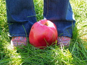 Soiul de mar Hanners Jumbo