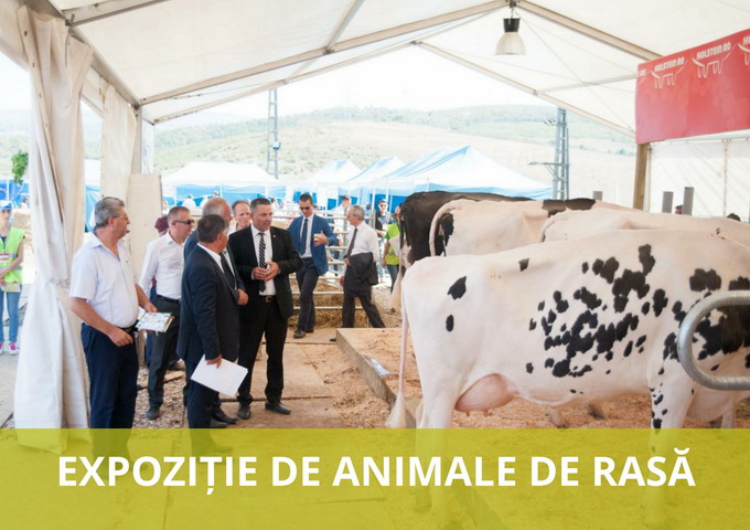 Targul AGRALIM 2017 - Repere importante 3