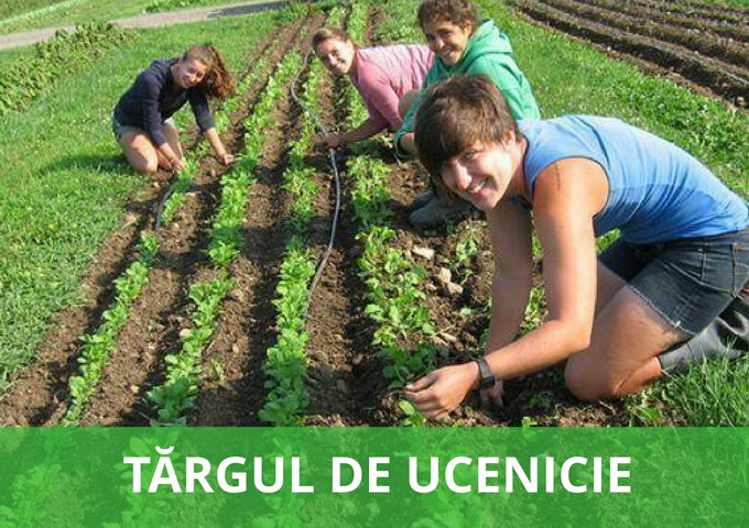 Targul AGRALIM 2017 - Repere importante 7