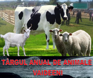Targul de animale de la Vaideeni