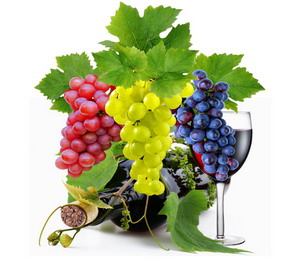 Vinurile dobrogene, de interes pentru chinezi