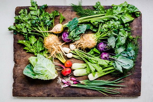 Acord UE-Chile privind comertul cu produse ecologice