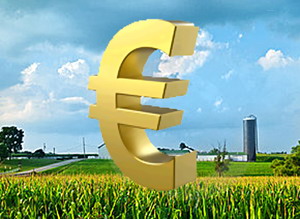 Bursa cerealelor: Pretul porumbului la recoltare si perspective | analiza AgroGo