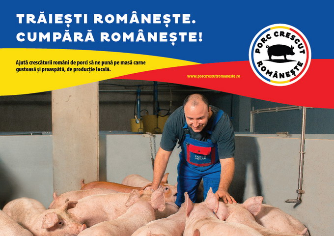 Porc Crescut Romaneste - Banner