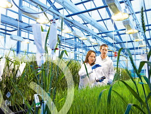 Reproducerea si inovarea plantelor: AISR la intalnirea anuala a Industriei de Seminte