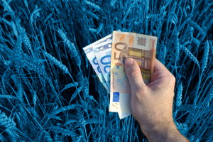 Simplificarea suplimentara a normelor din sectorul agricol al UE prin regulamentul Omnibus