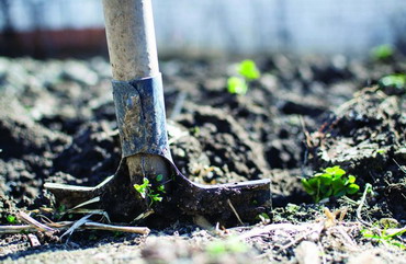 Cursul acreditat de agricultura ecologica revine in Constanta