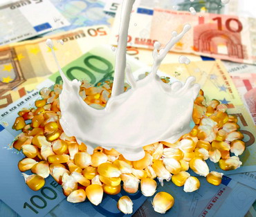 FAO: Preturile produselor lactate scad in octombrie, iar productia de cereale se indreapta spre noi recorduri