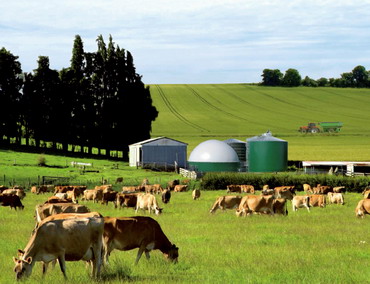 Emisiile din agricultura vor creste in viitor | FAO sprijina practicile agricole inteligente din punct de vedere climatic