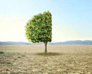 O perspectiva echilibrata asupra rolului si impactului pesticidelor in agricultura