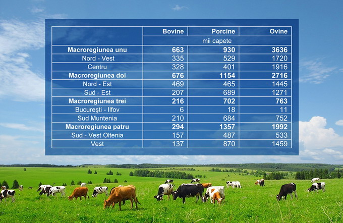 Fermele din Romania in anul 2016 - grafic 3