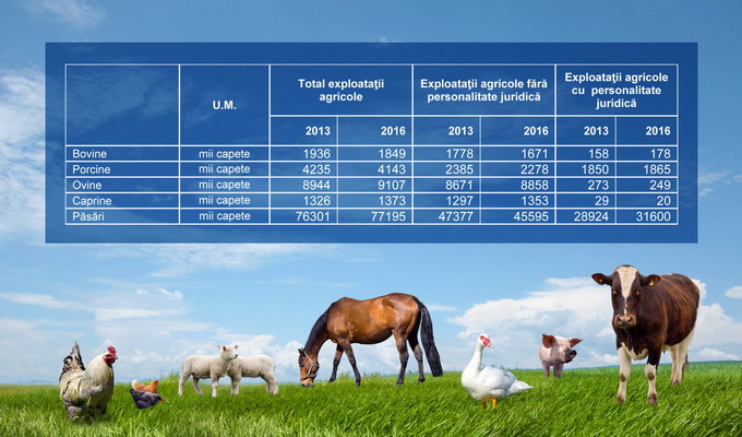 Fermele din Romania in anul 2016 - grafic 4