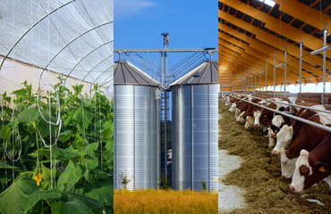 PNDR 2020: AFIR va pune la dispozitia fermierilor proiecte tip pentru ferme si silozuri