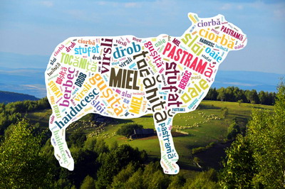 Caravana - Alege oaia - ajunge la Iasi