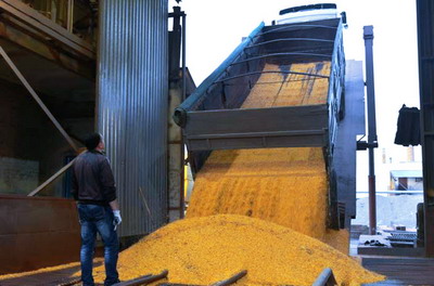 Nivel record la productia globala de cereale