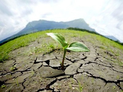 Strategia UE de combatere a desertificarii, analizata de CCE