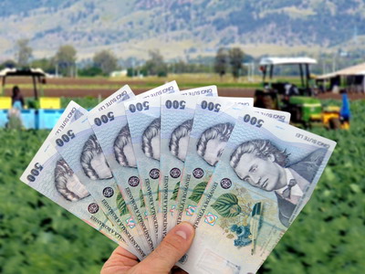 Platile APIA: Perioada de depunere, control, plata avansului si plata finala a subventiilor din 2018