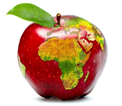 Viitorul sectorului alimentar si al agriculturii dezbatut la MADR